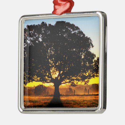 Baum morgens silbernes ornament (Links)