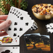 Baum morgens spielkarten (In Situ)