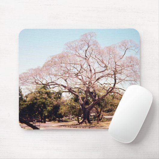 Baum mousepad (Mit Mouse)