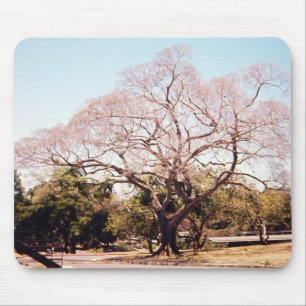 Baum mousepad