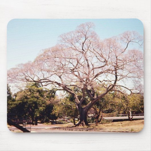 Baum mousepad (Vorne)