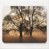 Baum Mousepad (Vorne)