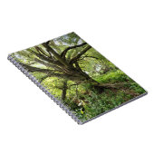 Baum Notizbuch Notizblock (Rechte Seite)