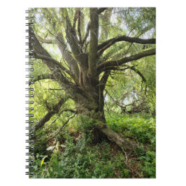 Baum Notizbuch Notizblock