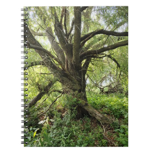 Baum Notizbuch Notizblock (Vorderseite)