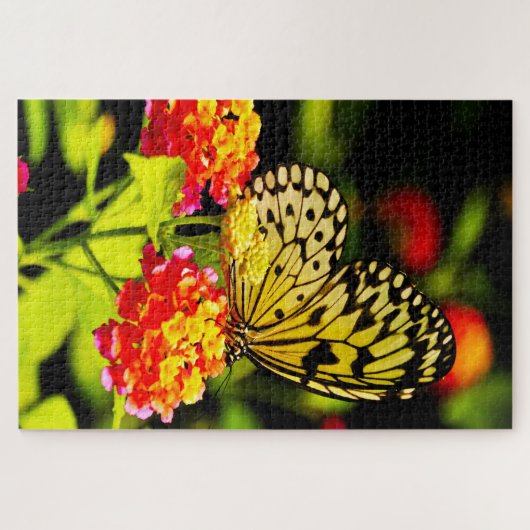 Baum Nymph Butterfly. Jigsaw Puzzle (Horizontal)