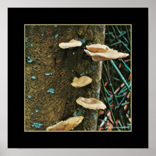 Baum-Pilz Poster