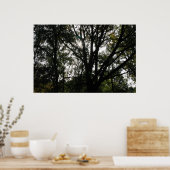 Baum Poster (Küche)