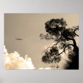 Baum Poster (Vorne)