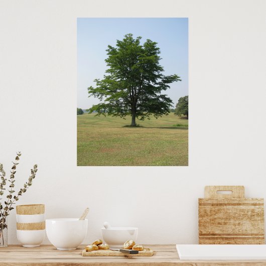 Baum Poster (Küche)