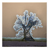 BAUM POSTER (Vorderseite)