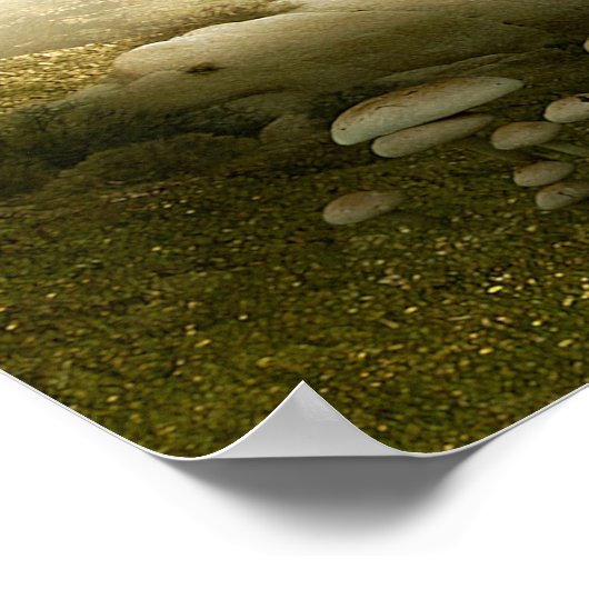 Baum... Poster (Ecke)