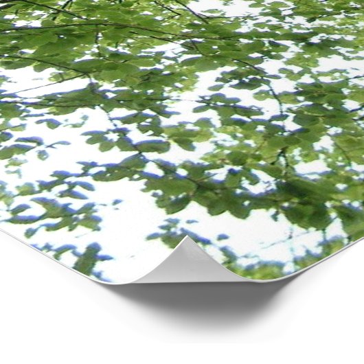 Baum Poster (Ecke)