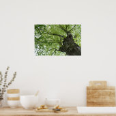 Baum Poster (Küche)