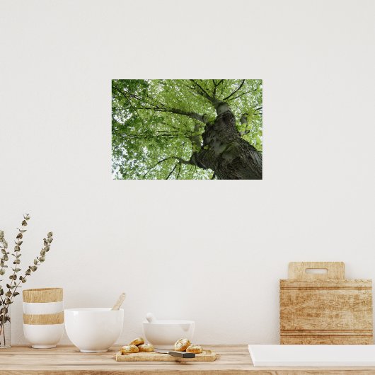 Baum Poster (Küche)