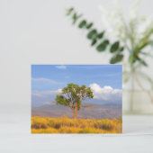 Baum Postkarte (Stehend Vorderseite)