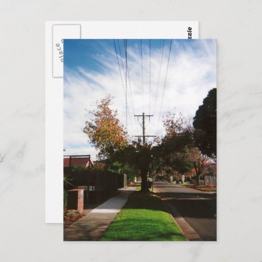 Baum Postkarte (Vorne/Hinten)