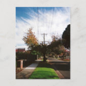 Baum Postkarte (Vorderseite)