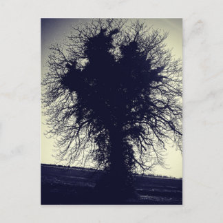 Baum Postkarte