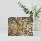 Baum Postkarte (Stehend Vorderseite)