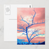 Baum Postkarte (Vorne/Hinten)