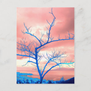Baum Postkarte