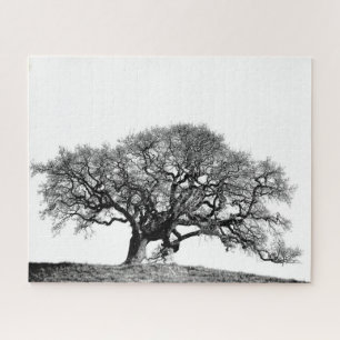 BAUM PUZZLE
