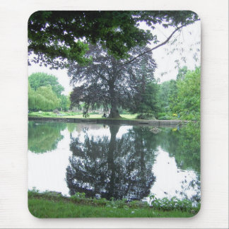 Baum reflektiert im Wasser Mousepad