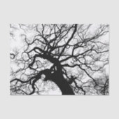 Baum-Schwarzweiss-Silhouette Seidenpapier (Vorderseite)