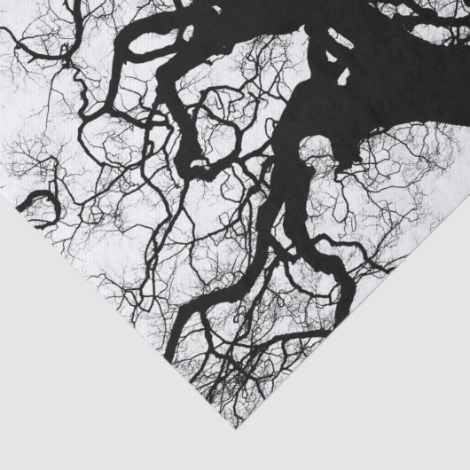 Baum-Schwarzweiss-Silhouette Seidenpapier (Ausschnitt)