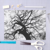 Baum-Schwarzweiss-Silhouette Seidenpapier (Handwerk)