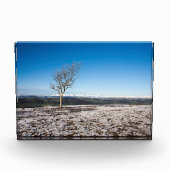 Baum Scout Scar Alter Mann von Coniston Hintergrun Fotoblock (Vorderseite)