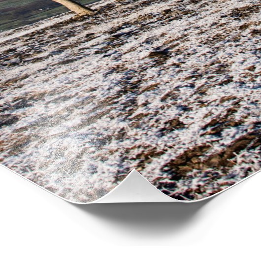 Baum Scout Scar Alter Mann von Coniston Hintergrun Fotodruck (Ecke)