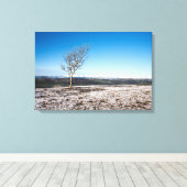 Baum Scout Scar Alter Mann von Coniston Hintergrun Leinwanddruck (Insitu (Holzboden))