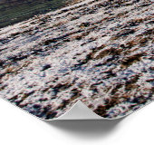 Baum Scout Scar Alter Mann von Coniston Hintergrun Poster (Ecke)