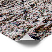 Baum Scout Scar Alter Mann von Coniston Hintergrun Poster (Ecke)