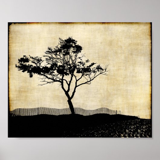 Baum-Silhouette Foto Kunst Poster (Vorne)
