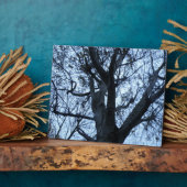 Baum Silhouette Fotograf Plaque Fotoplatte (Seite)