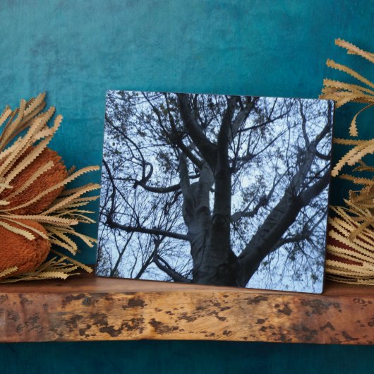 Baum Silhouette Fotograf Plaque Fotoplatte (Seite)