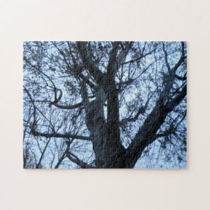 Baum-Silhouette-Fotograf-Puzzle Puzzle