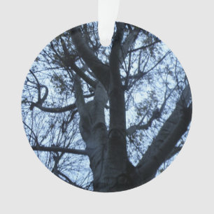 Baum Silhouette Fotografie Akrylverzierung Ornament