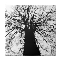 Baum-Silhouette in Schwarzweiss