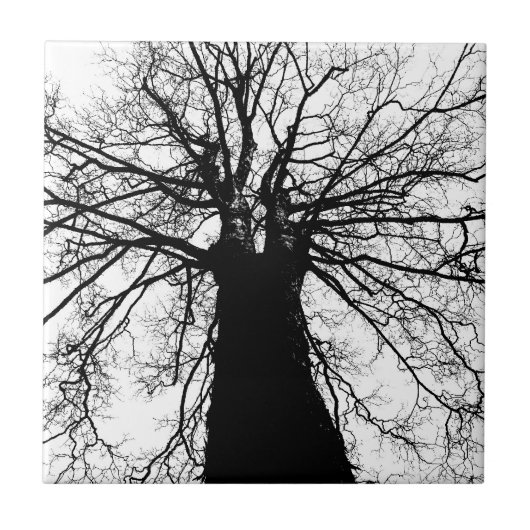 Baum-Silhouette in Schwarzweiss Fliese (Vorderseite)