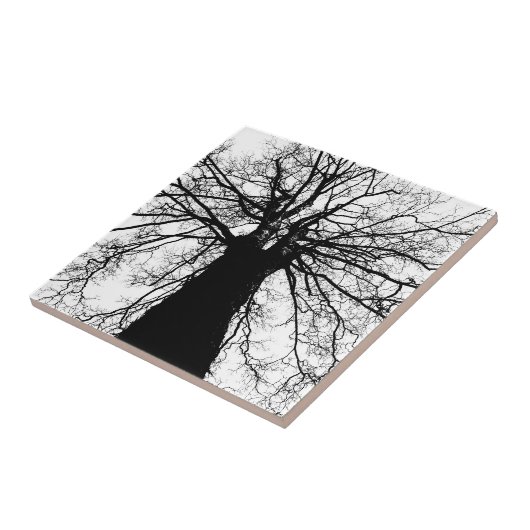 Baum-Silhouette in Schwarzweiss Fliese (Seite)