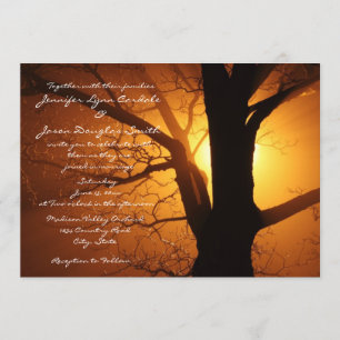 Baum-Silhouette-Sonnenuntergang-Hochzeits-Einladun Einladung