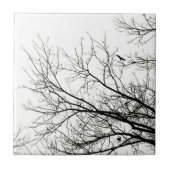 Baum-Silhouetten - Fliese (Vorderseite)