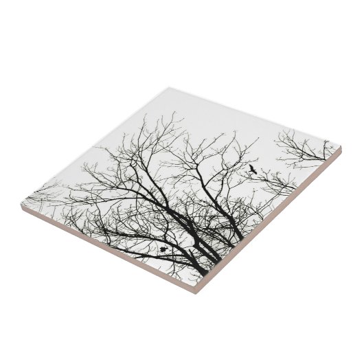 Baum-Silhouetten - Fliese (Seite)