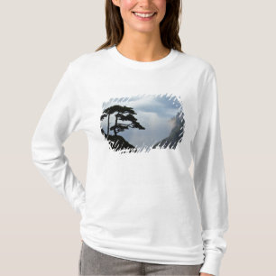 Baum silhouettiert bei Sonnenaufgang, Gelber Berg, T-Shirt