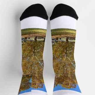 Baum Socken