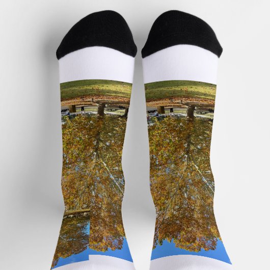 Baum Socken (Oben)